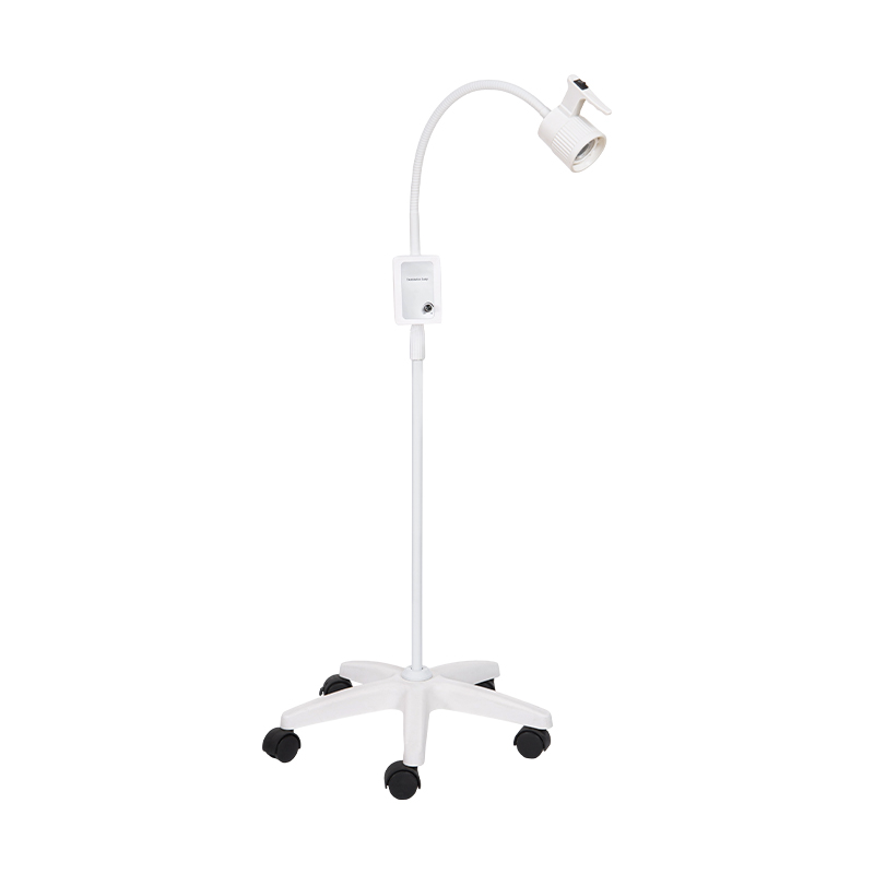 Lampada da visita a collo d'oca a LED con batteria di backup incorporata da 3 W