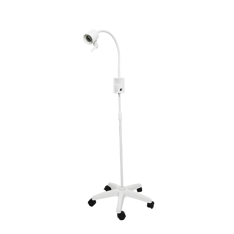 Lampada da visita a collo d'oca a LED con batteria di backup incorporata da 3 W