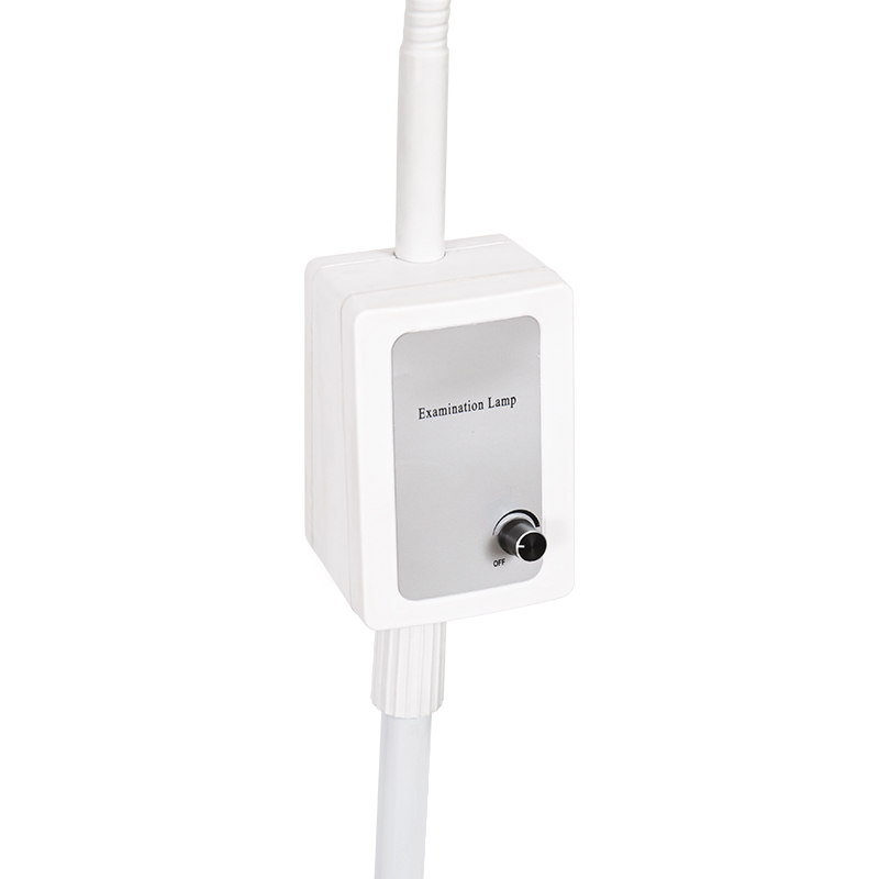 Lampada da visita a collo d'oca a LED con batteria di backup incorporata da 3 W