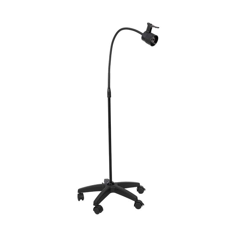 Lampada da visita LED da 3 W
