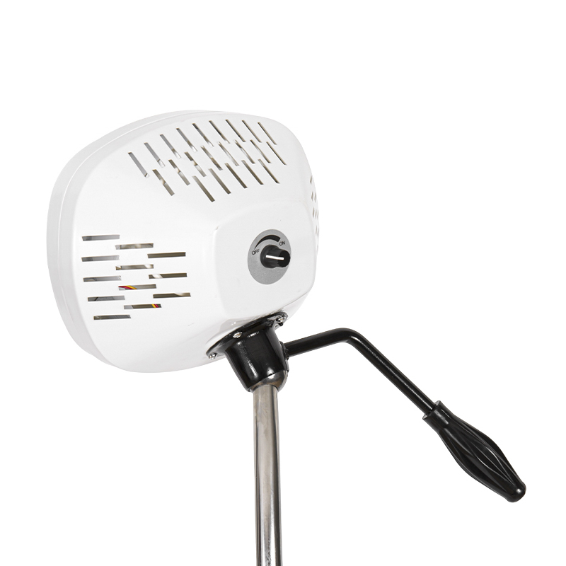 Lampada da visita odontoiatrica a led a luce fredda a 8 fori Lampada da visita odontoiatrica a led a luce fredda a 8 fori