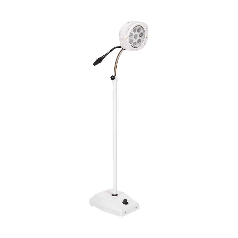 Lampada da visita odontoiatrica a led a luce fredda a 8 fori Lampada da visita odontoiatrica a led a luce fredda a 8 fori