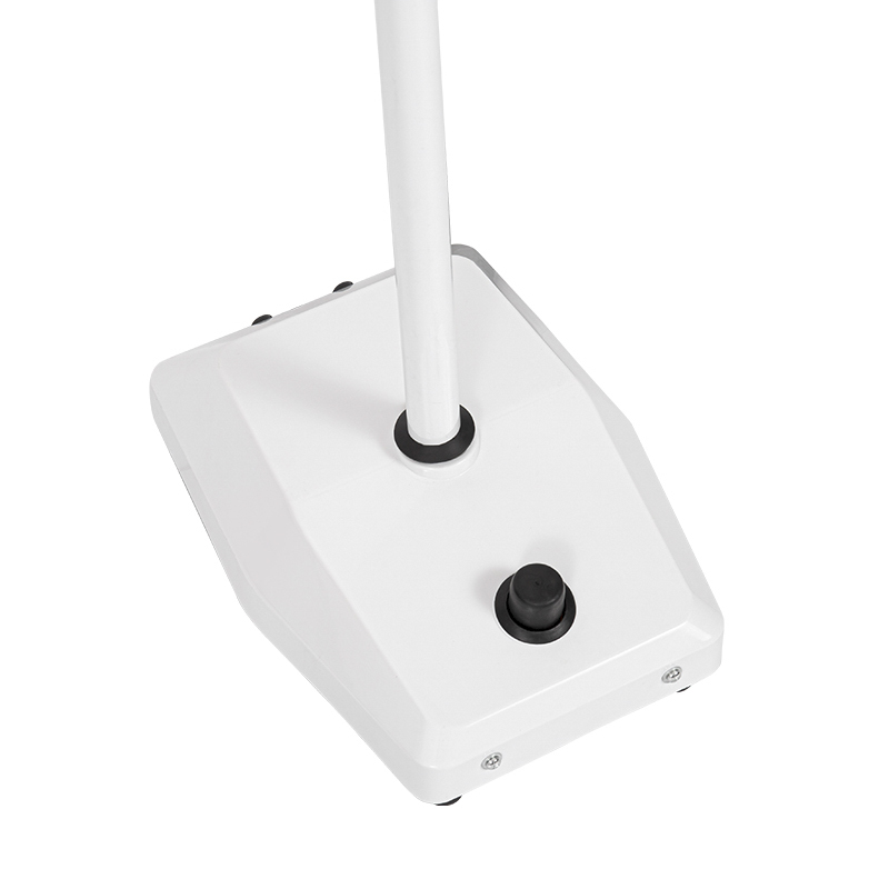 Lampada da visita odontoiatrica a led a luce fredda a 8 fori Lampada da visita odontoiatrica a led a luce fredda a 8 fori