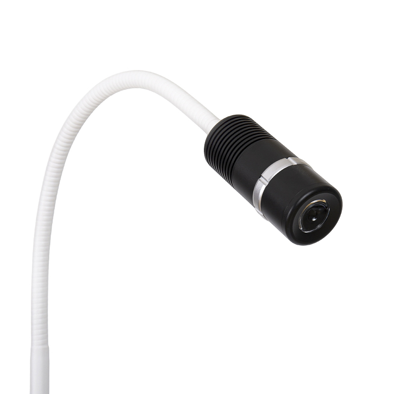 Lampada da visita a collo di cigno regolabile a LED da 12 W Lampada da visita a collo di cigno regolabile a LED da 12 W