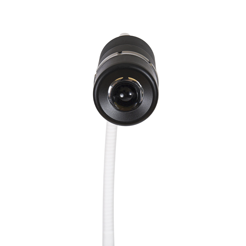 Lampada da visita a collo di cigno regolabile a LED da 12 W Lampada da visita a collo di cigno regolabile a LED da 12 W